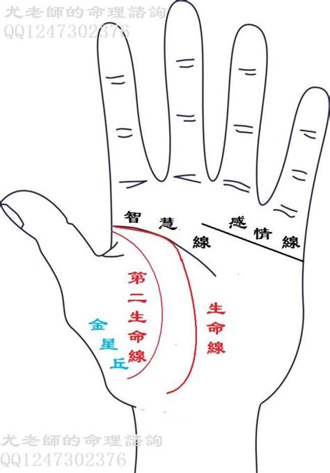 生命線分兩條|手上有兩條生命線的人生命力旺盛，貴人多助